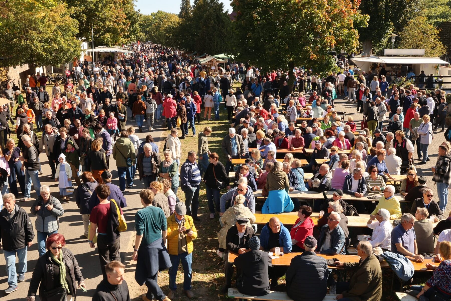 Impression vom Erntefest 2025 in Dollgow – Bild 2
