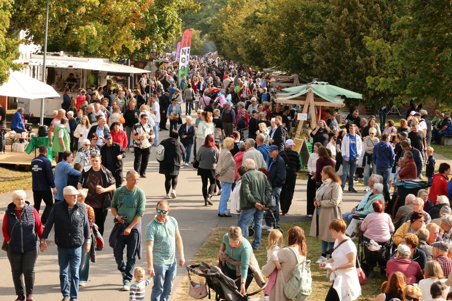 Viele Gäste entlang des Festumzugs in Dollgow